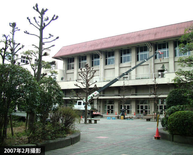 中庭