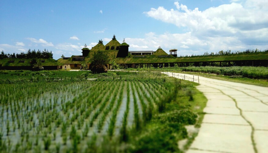 ラ コリーナ近江八幡 ラ コリーナ近江八幡